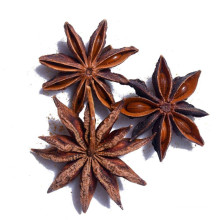 Top Quality 100% Natural Dehydrated Star Aniseed